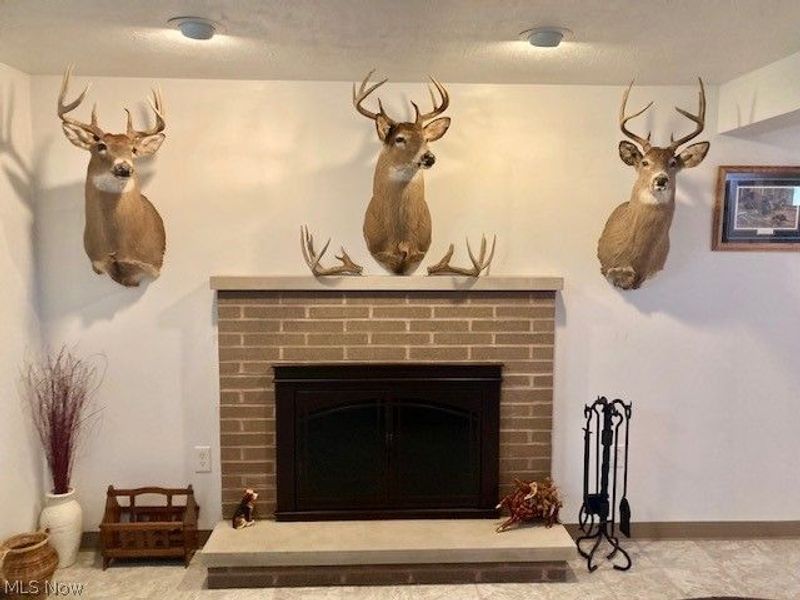 4474 Ridge Road, Wadsworth, OH 44281 Photo 8