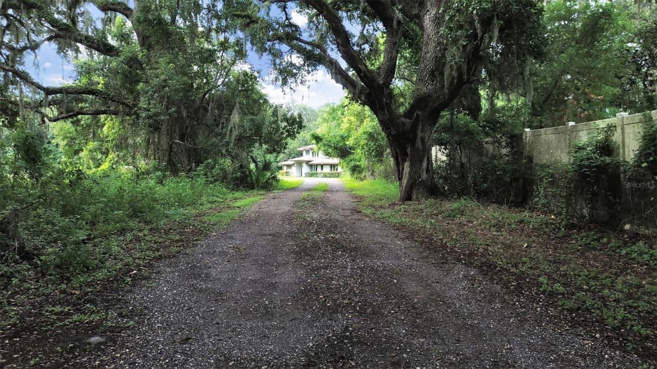 1729 Fats Lane, Seffner, FL 33584 Photo