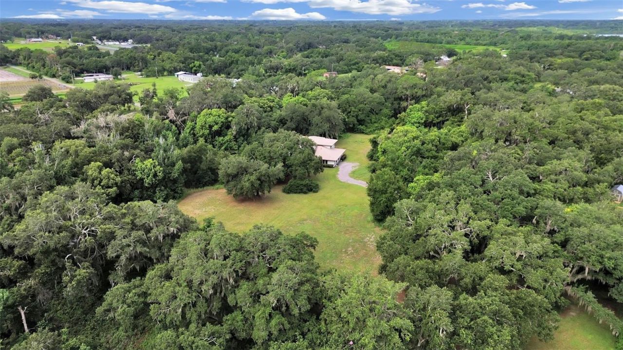 1729 Fats Lane, Seffner, FL 33584 Photo