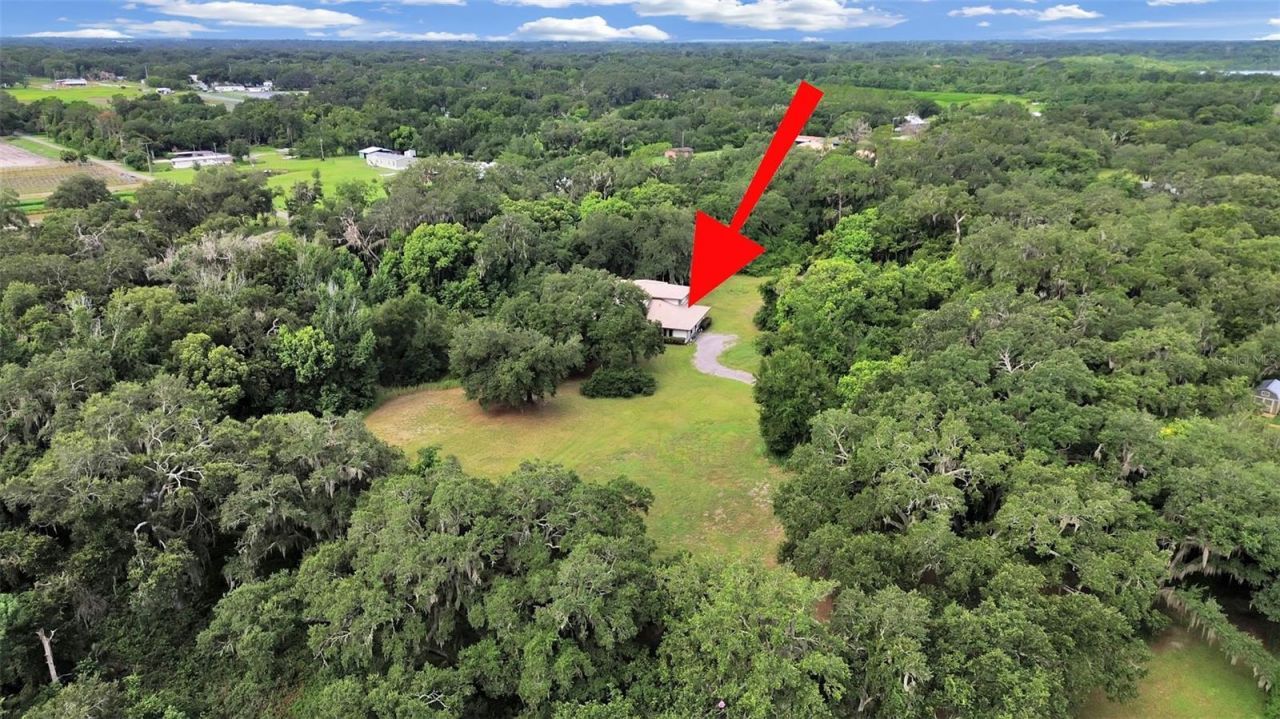 1729 Fats Lane, Seffner, FL 33584 Photo