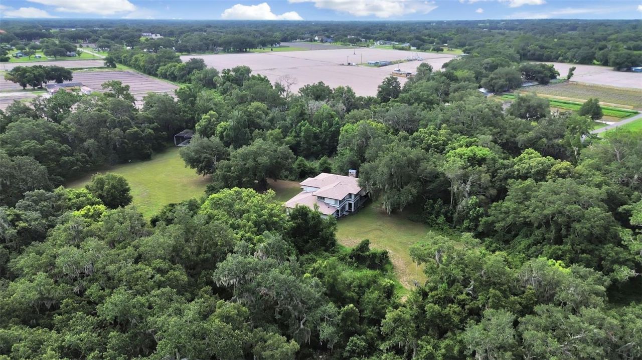 1729 Fats Lane, Seffner, FL 33584 Photo