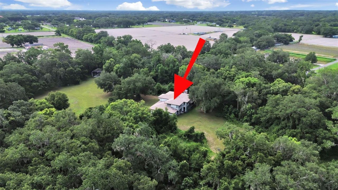 1729 Fats Lane, Seffner, FL 33584 Photo