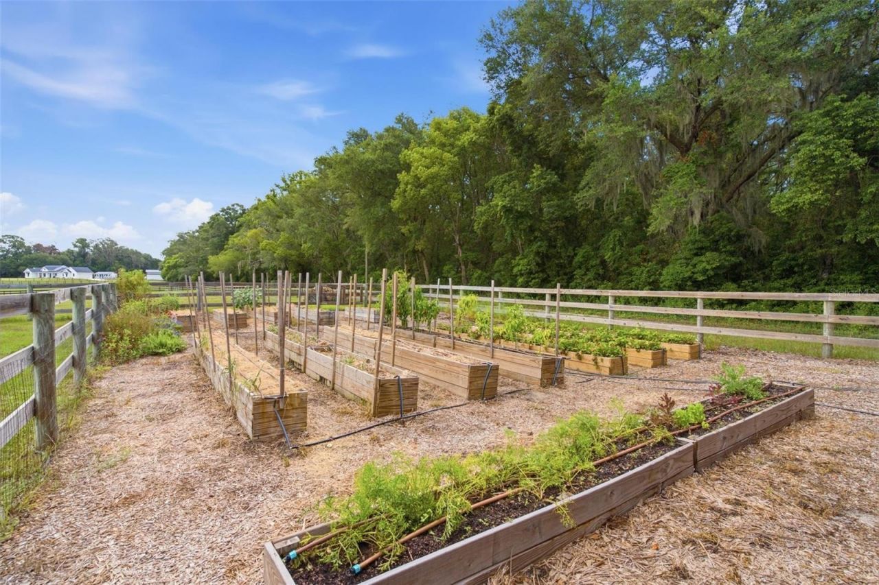 16241 SE 150th Avenue, Weirsdale, FL 32195 Photo