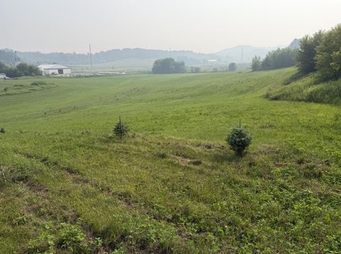 Main Photo