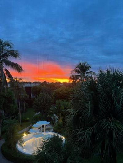 3605 S Ocean Boulevard, Unit 311, South Palm Beach, FL 33480 Photo