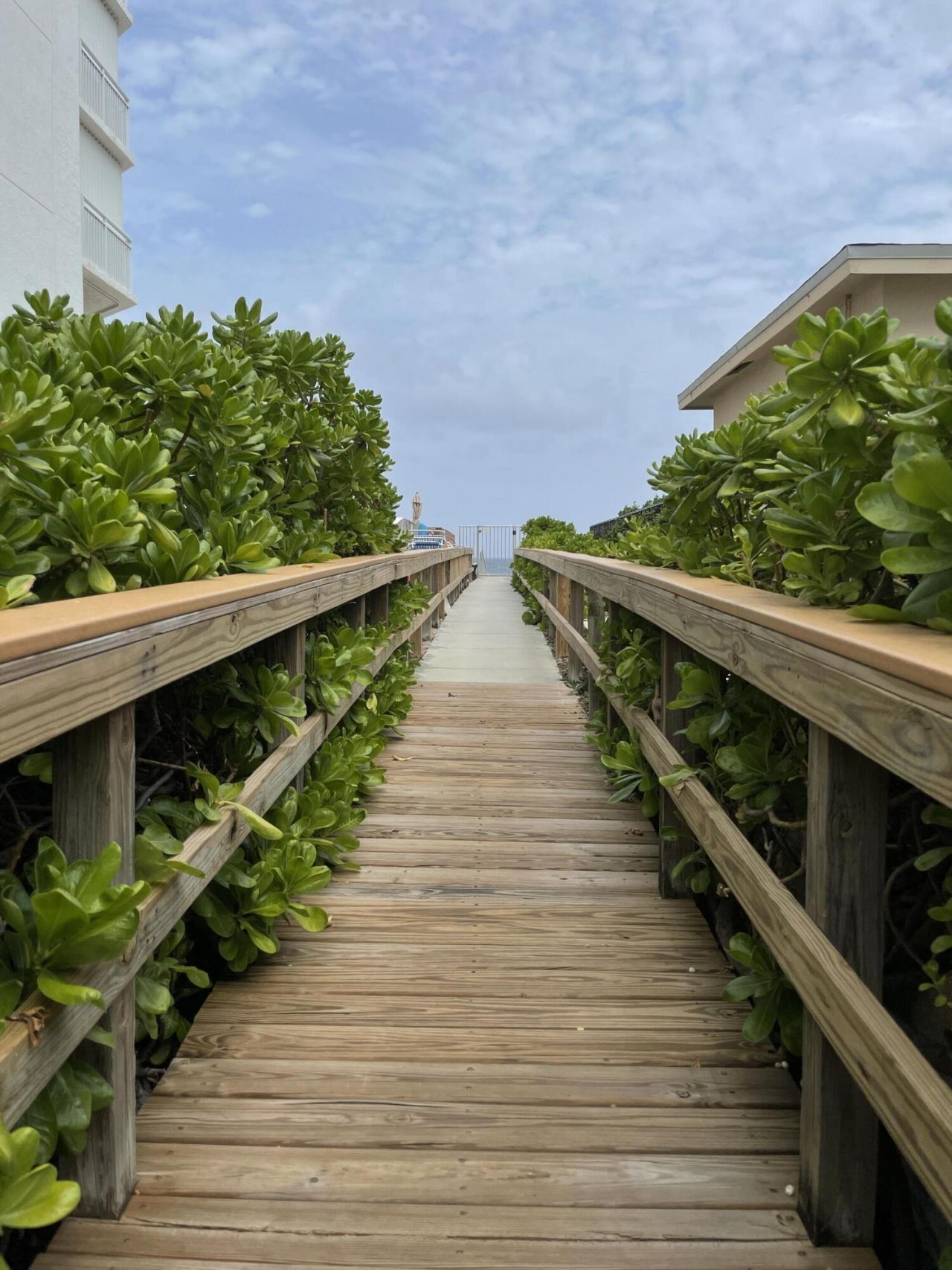 3605 S Ocean Boulevard, Unit 311, South Palm Beach, FL 33480 Photo