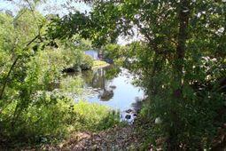761 Drawbridge Dr. photo 4