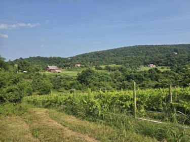 RED BARN LANE , FRONT ROYAL, VA 22630