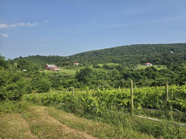 RED BARN LANE, FRONT ROYAL, VA 22630