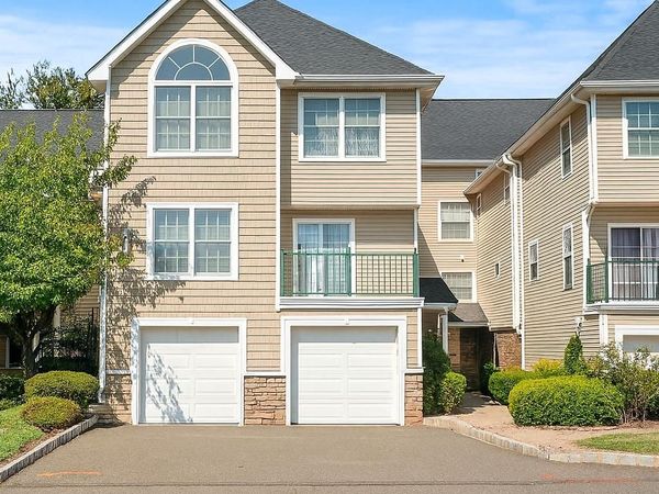 203 RIP VAN DAM COURT , BELLE MEAD, NJ 08502