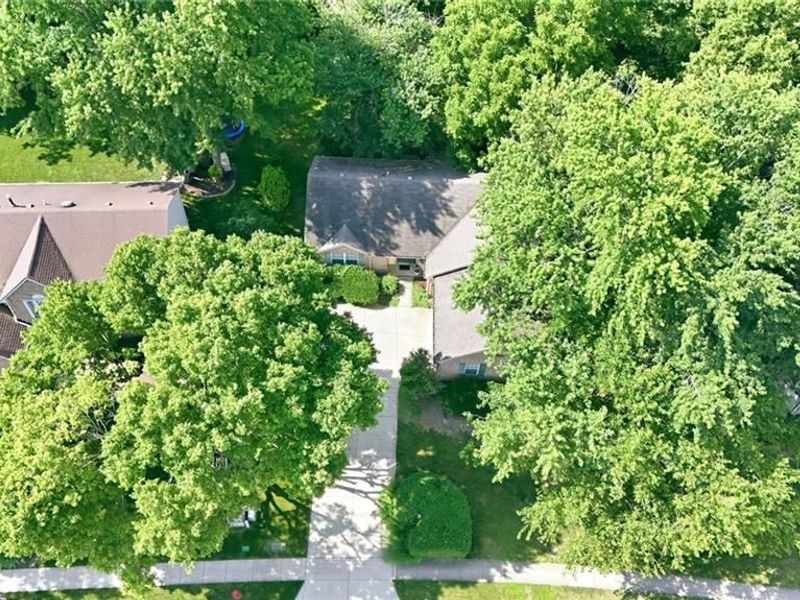 65 Reed Road, Springboro, OH 45066 Photo 35