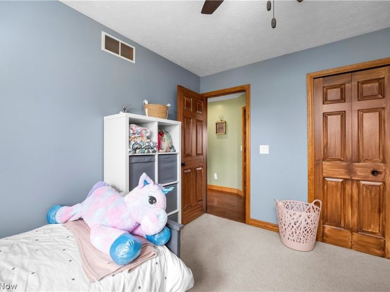 43800 Smith Road, Wellington, OH 44090 Photo 29