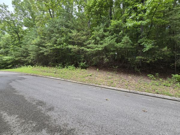 Lot 134 Lower Brow Road, Dunlap, TN 37327