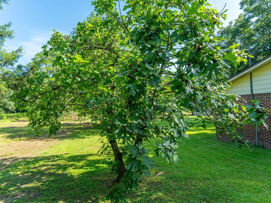 Property Image 55