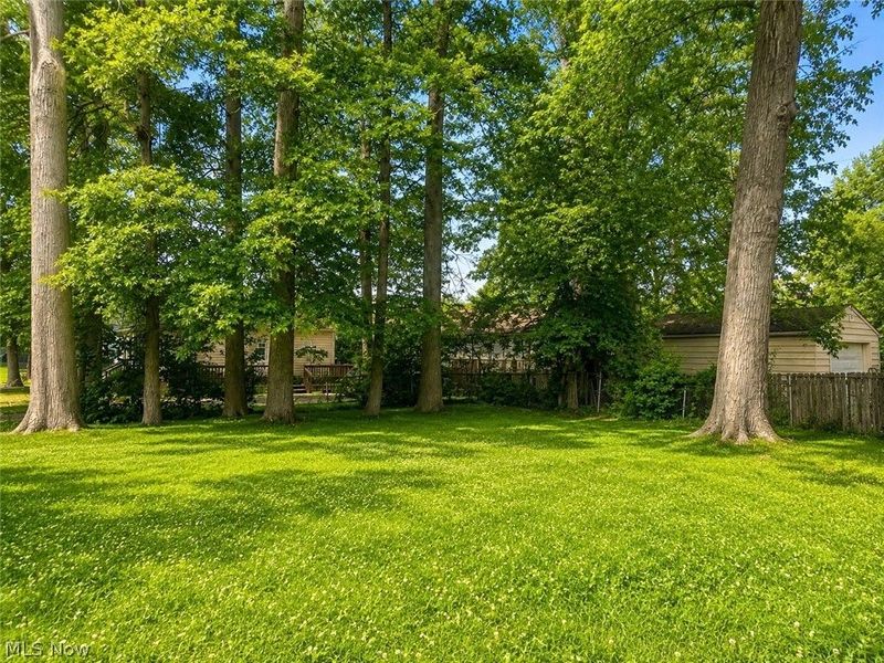1294 Inman Street, Akron, OH 44306 Photo 18