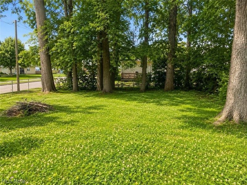 1294 Inman Street, Akron, OH 44306 Photo 22