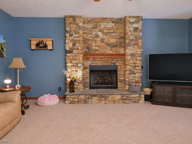 8252 Plains Road, Mentor, OH 44060 Photo 20