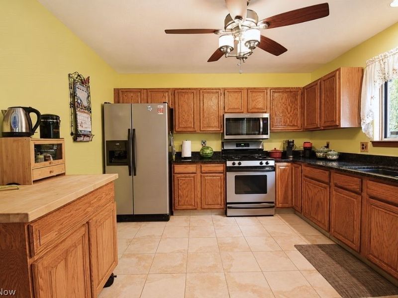 8252 Plains Road, Mentor, OH 44060 Photo 22