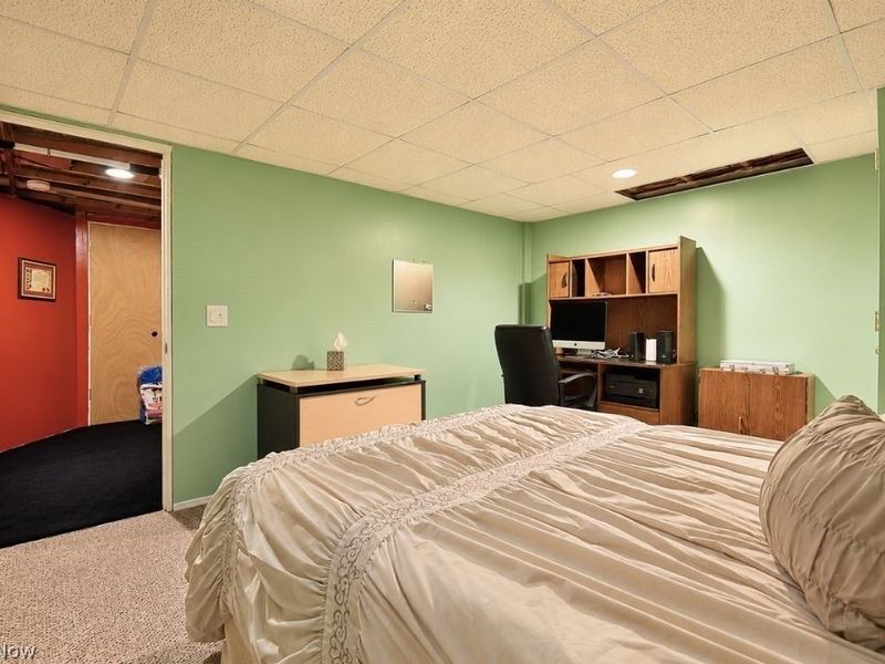 8252 Plains Road, Mentor, OH 44060 Photo 36
