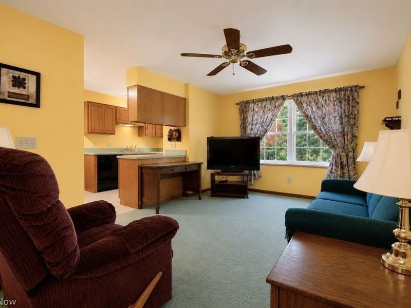 8252 Plains Road, Mentor, OH 44060 Photo 39