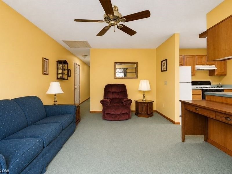 8252 Plains Road, Mentor, OH 44060 Photo 42