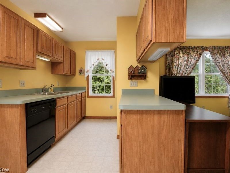 8252 Plains Road, Mentor, OH 44060 Photo 45