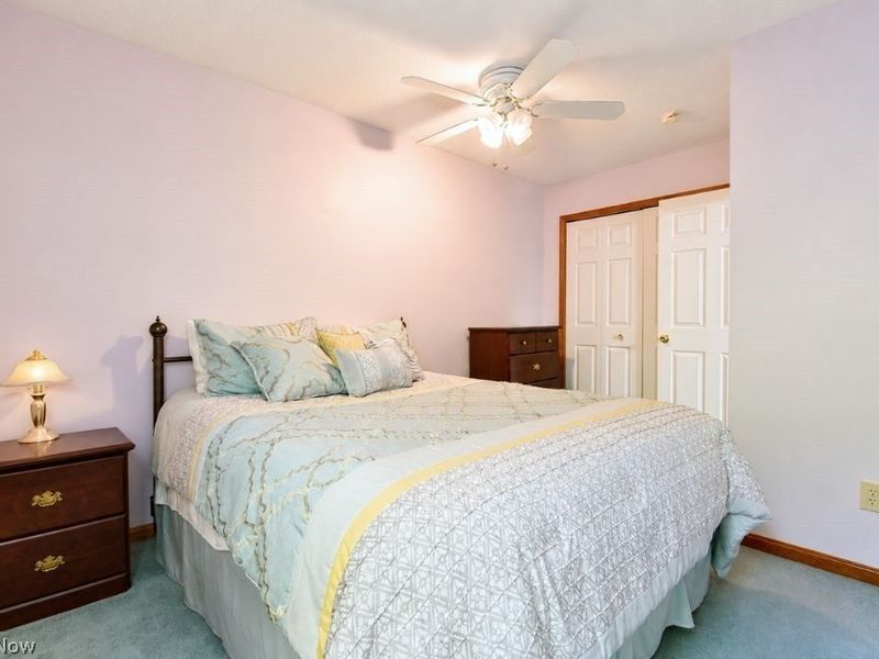 8252 Plains Road, Mentor, OH 44060 Photo 49