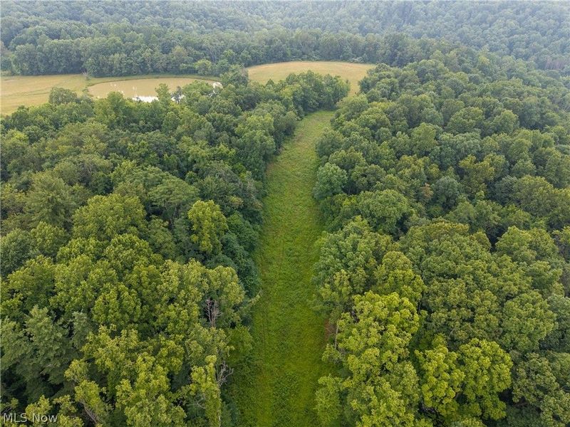 73356 Old Twenty-One Road, Kimbolton, OH 43749 Photo 16