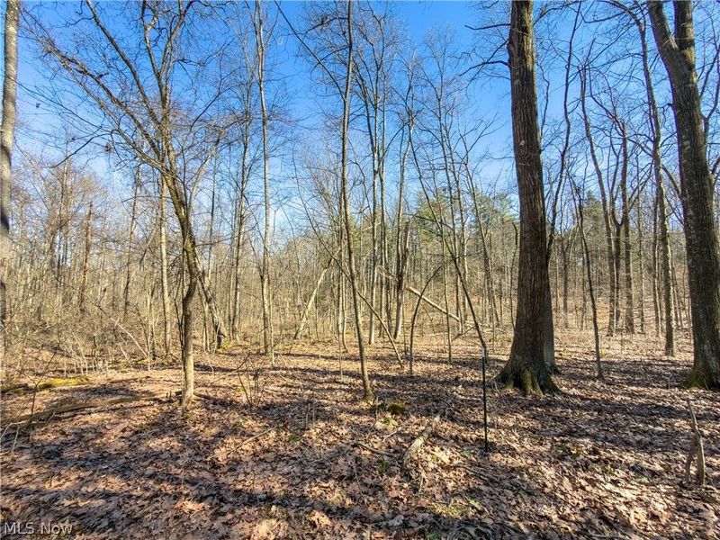73356 Old Twenty-One Road, Kimbolton, OH 43749 Photo 27
