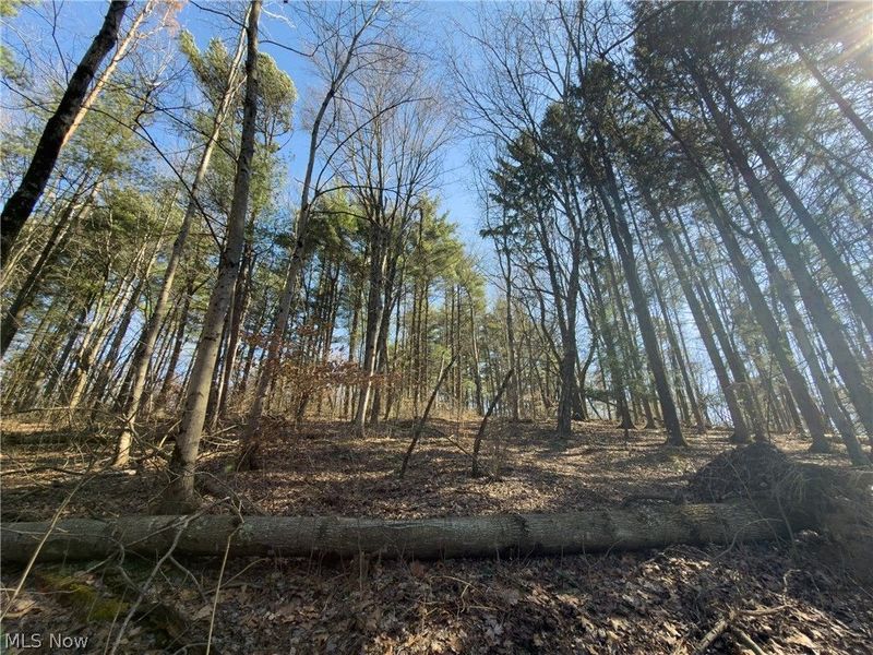 73356 Old Twenty-One Road, Kimbolton, OH 43749 Photo 28