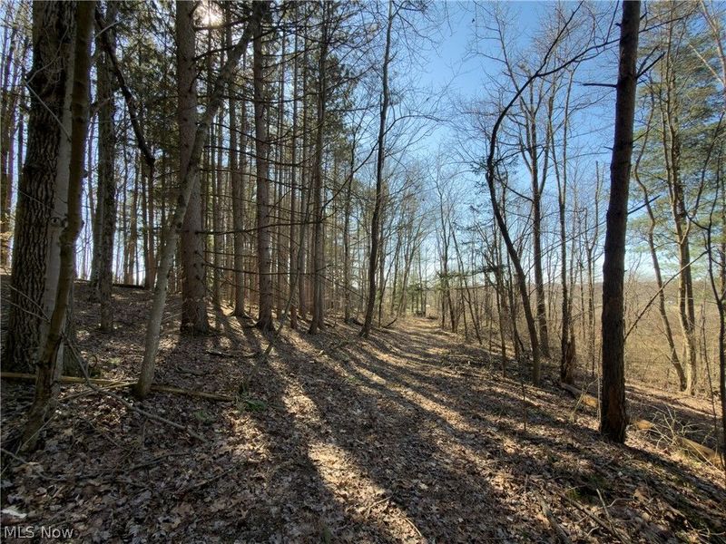 73356 Old Twenty-One Road, Kimbolton, OH 43749 Photo 29