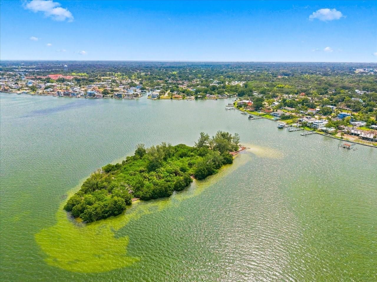 111 Shore Drive, Dunedin, FL 34698 Photo