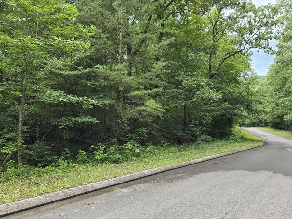 Lot 135 Lower Brow Road, Dunlap, TN 37327