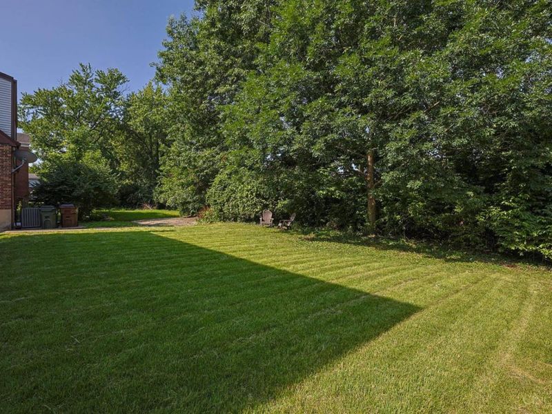 1127 Betty Lane, Delhi Twp, OH 45238 Photo 34