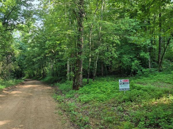 0 Co Rd 462 , Lexington, AL 35648