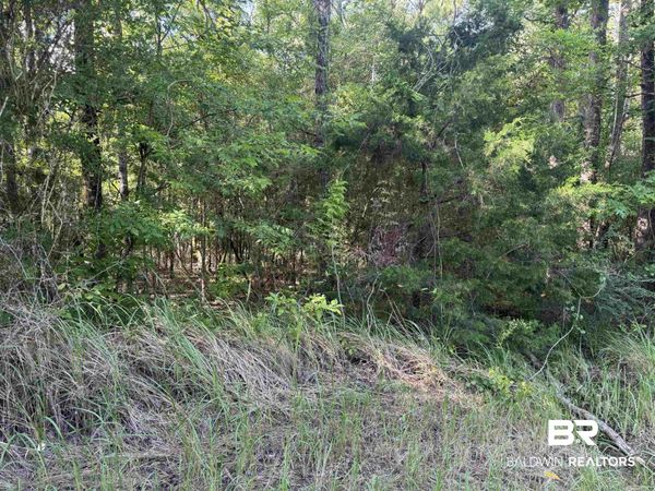 0 Rice Creek Road, Stockton, AL 36579