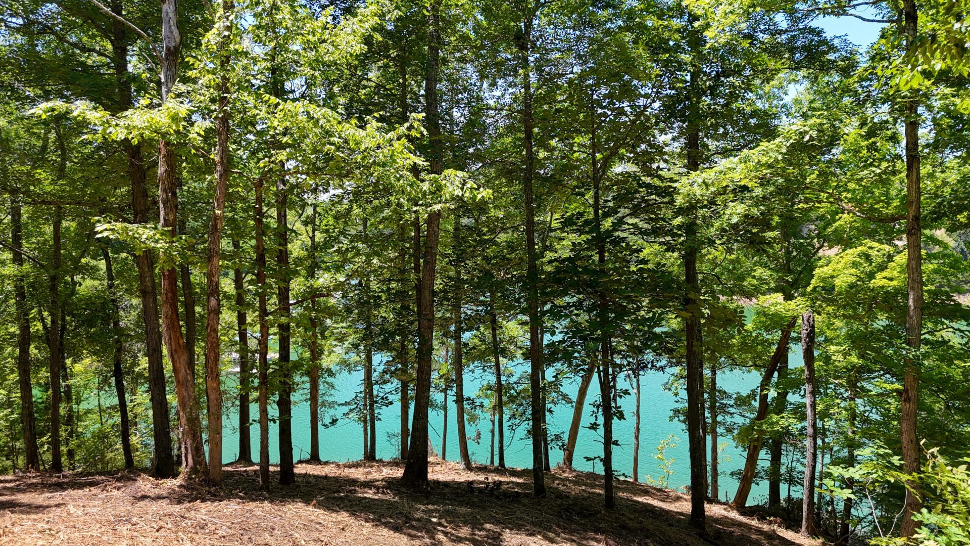 Lot 2 Lake Oaks Way, Sevierville, TN 37876 Main Photo