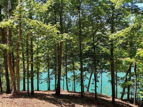 Lot 2 Lake Oaks Way, Sevierville, TN 37876