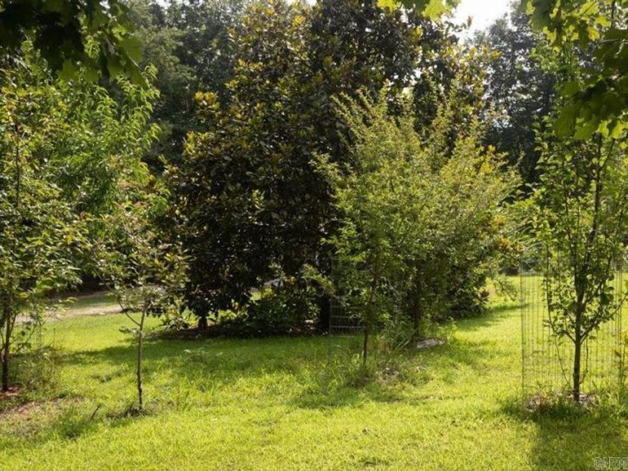 Property Image 40