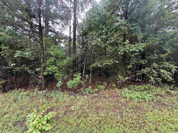 000 Mitchell Road , Booneville, AR 72927