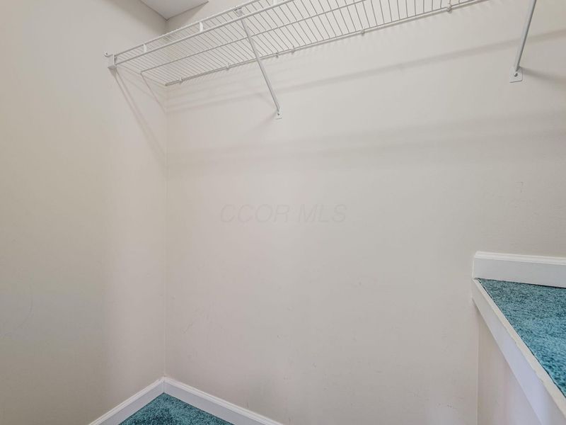 7815 Royal Park Drive, Lewis Center, OH 43035 Photo 45