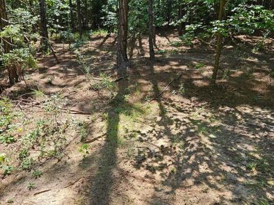 00 Cypress Drive , Winnsboro, SC 29180