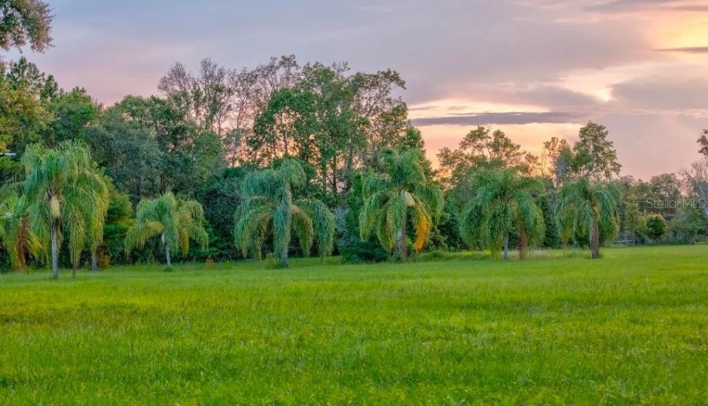 909 S County Road 3, Pierson, FL 32180 Photo
