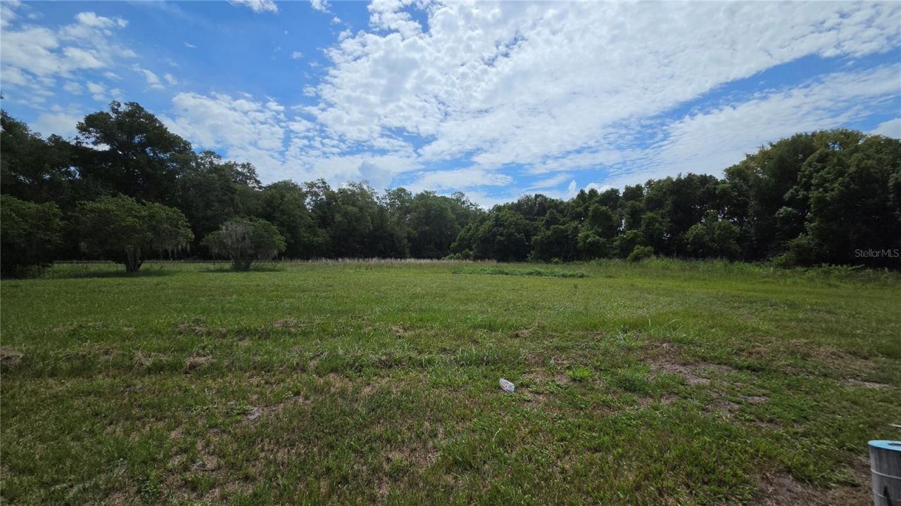 909 S County Road 3, Pierson, FL 32180 Photo