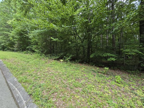 Lot 138 Lower Brow Road, Dunlap, TN 37327