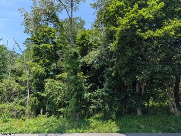 58 Allerton Rd, Clinton, NJ 08833