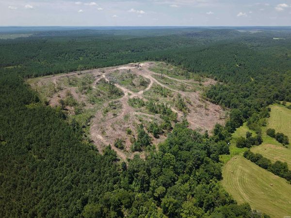 40 Acres W376, Langley, AR 71952