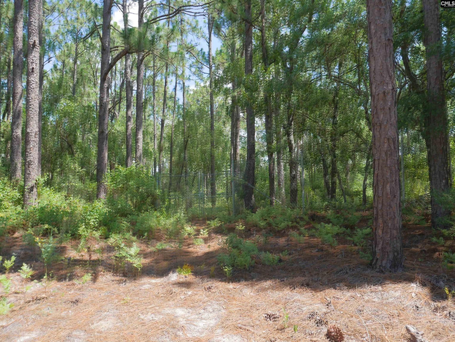 Woodsedge Court  Photo 11