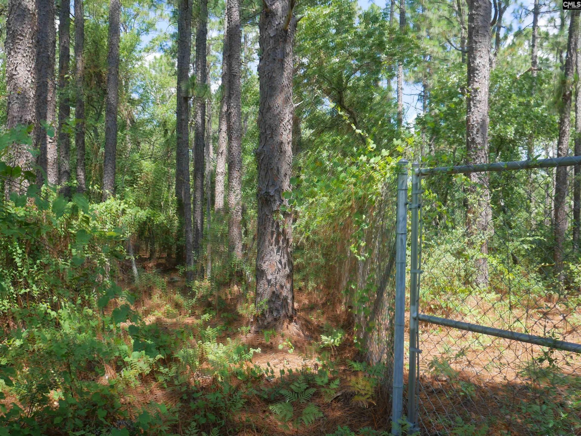 Woodsedge Court  Photo 12
