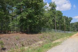 Woodsedge Court  photo 4